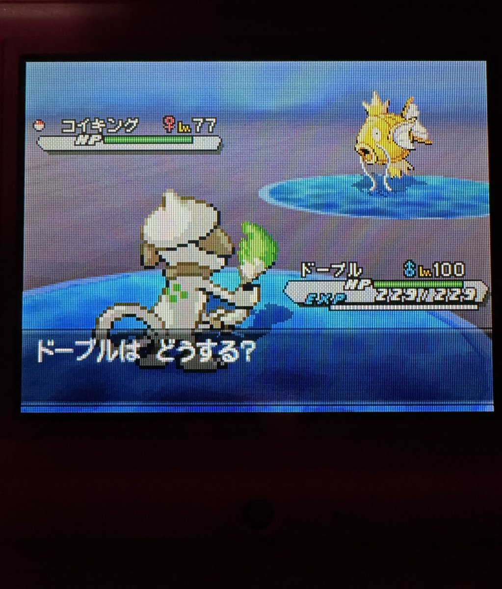ダーヤマ★*゚ポケモンコレクター tweet media