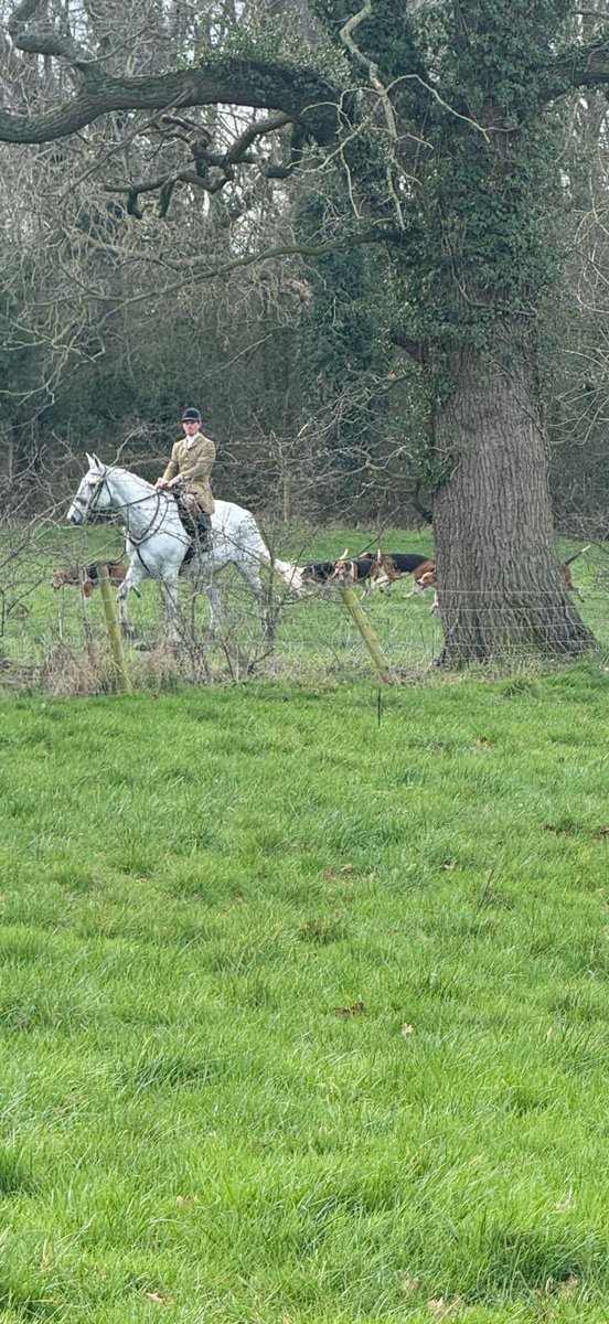 Welsh Border Wildlife Protectors tweet media