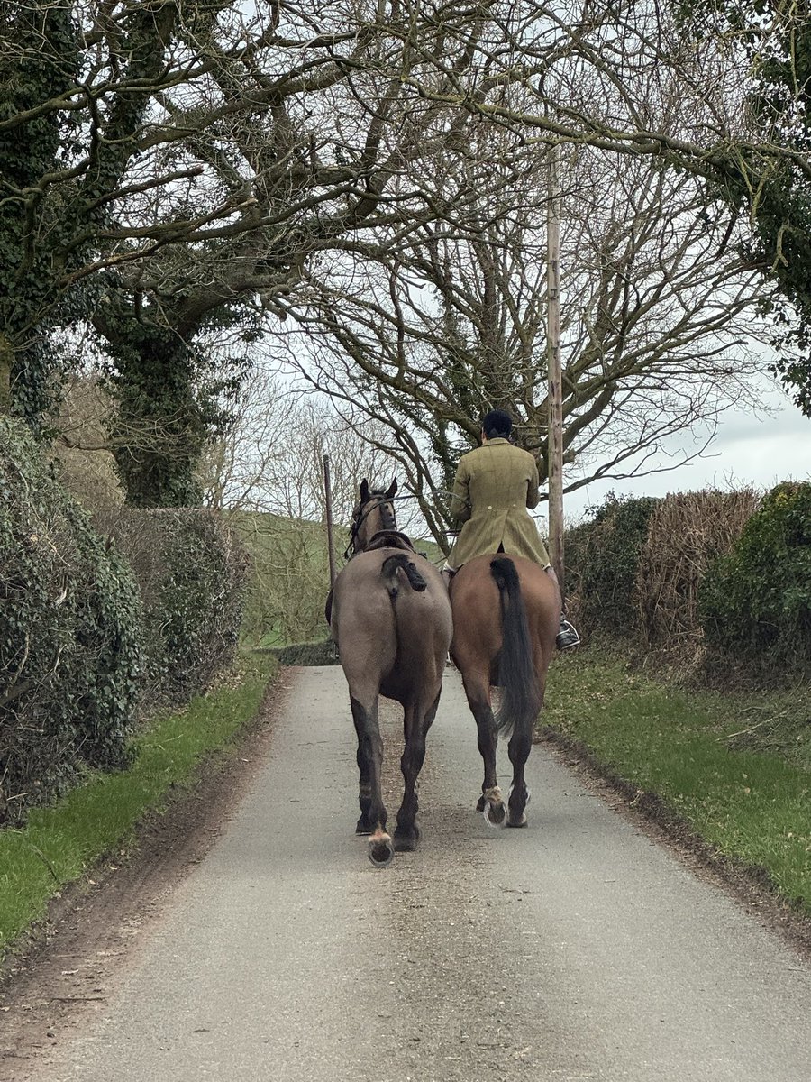 Welsh Border Wildlife Protectors tweet media