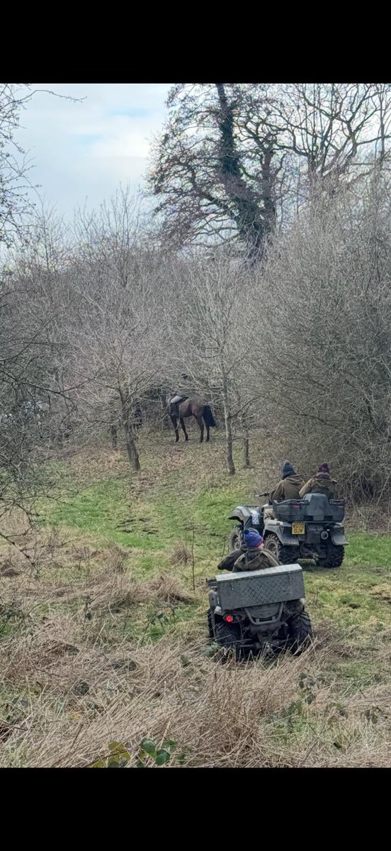 Welsh Border Wildlife Protectors tweet media