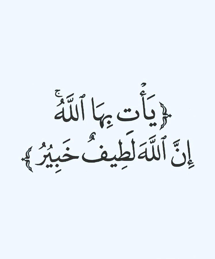 الماركـيزاNoor 𝄞 tweet media