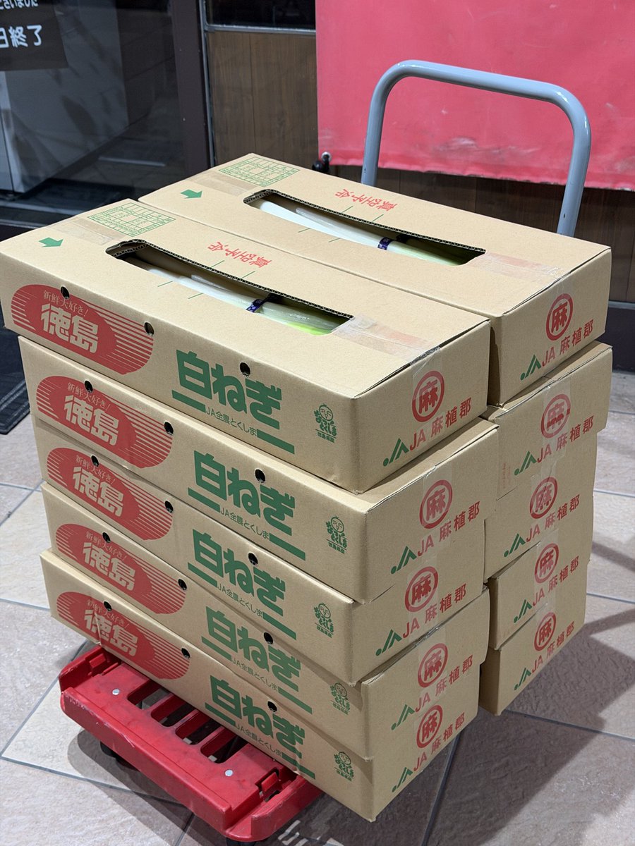 2/26(木) 今朝4時に仕入れた白ネギは、徳島県産JAねぎ30kg！ 秀2L