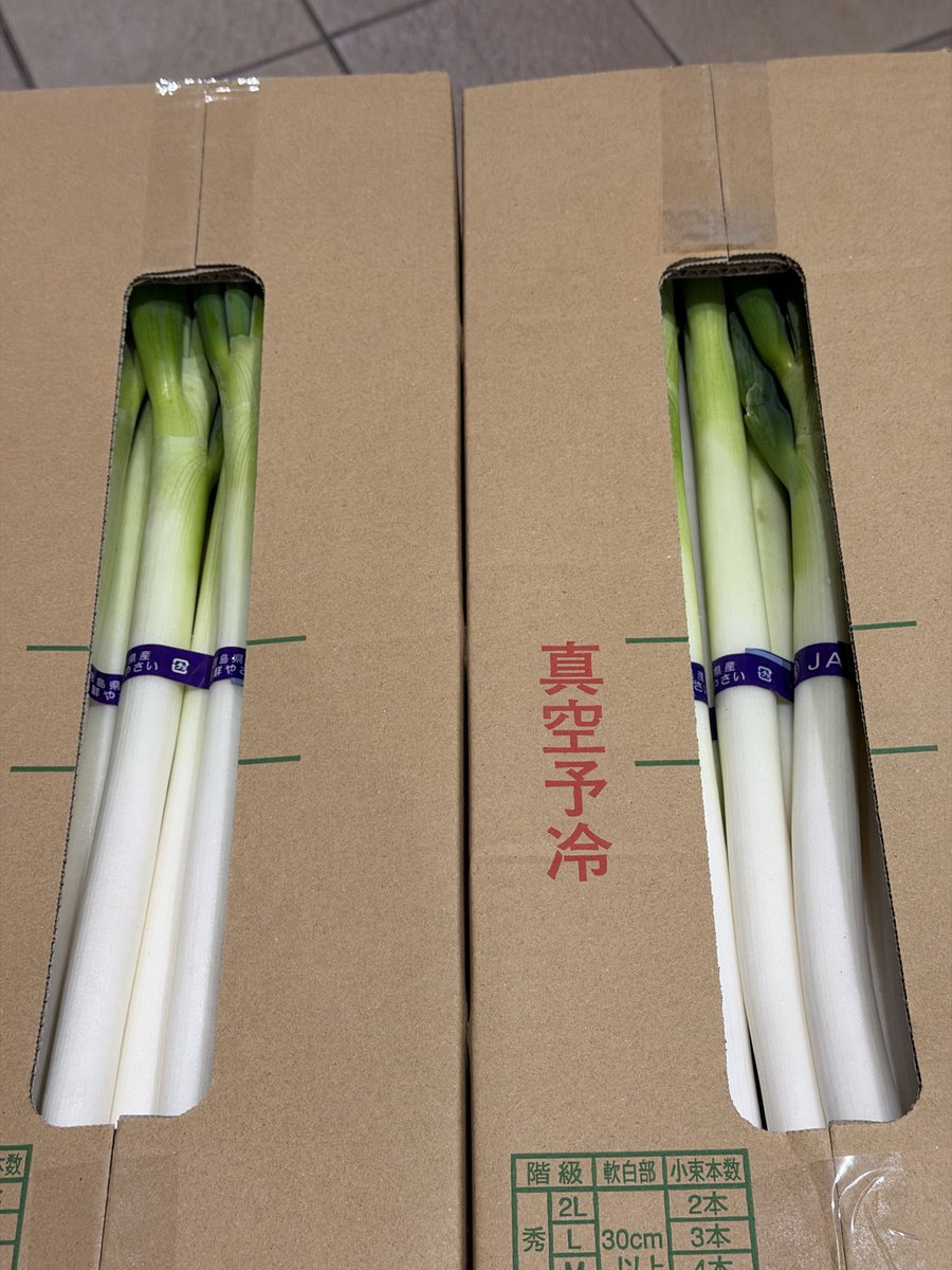2/26(木) 今朝4時に仕入れた白ネギは、徳島県産JAねぎ30kg！ 秀2L