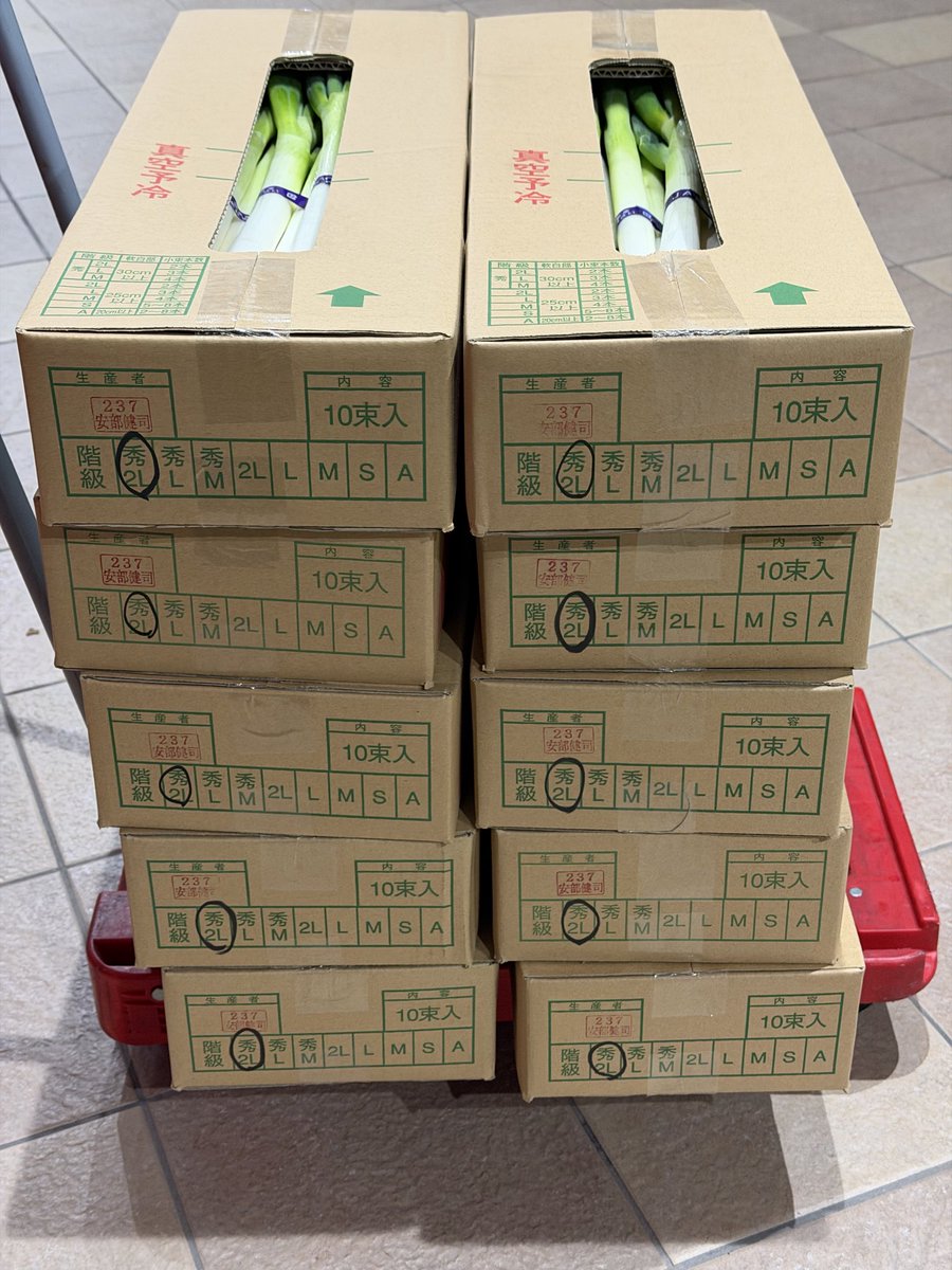 2/26(木) 今朝4時に仕入れた白ネギは、徳島県産JAねぎ30kg！ 秀2L