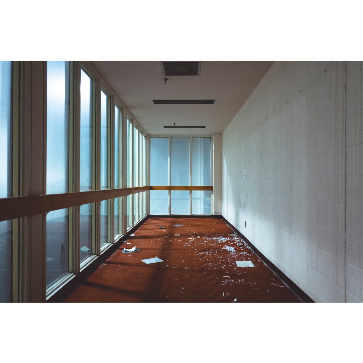 RealJonathanCastellino tweet media