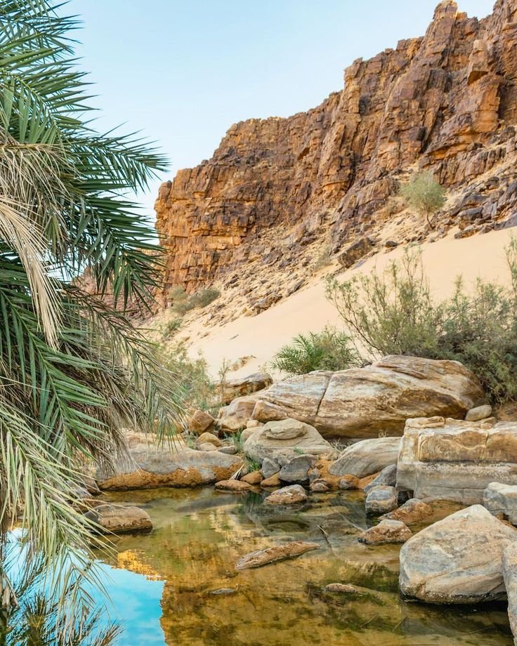 "مناظر خلابة لـ واحة مهيرث في آدرار، موريتانيا 🇲🇷🌵 #موريتانيا #Adrar #Oasis #طبيعة"