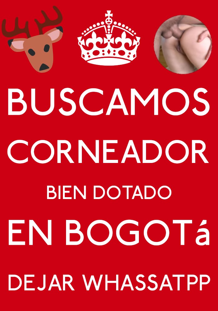 Viejocornudo (@viejocornudo) on Twitter photo 