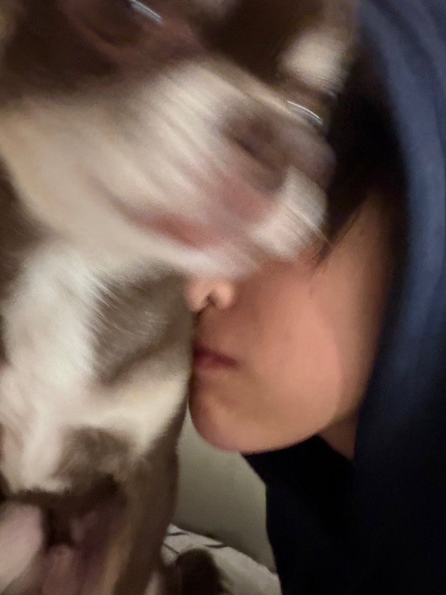 KEONHO WEVERSE UPDATE 

#KEONHO #건호