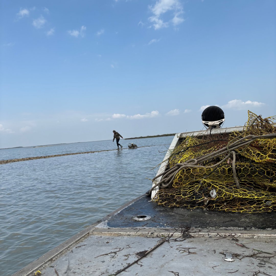 CCA Texas tweet media