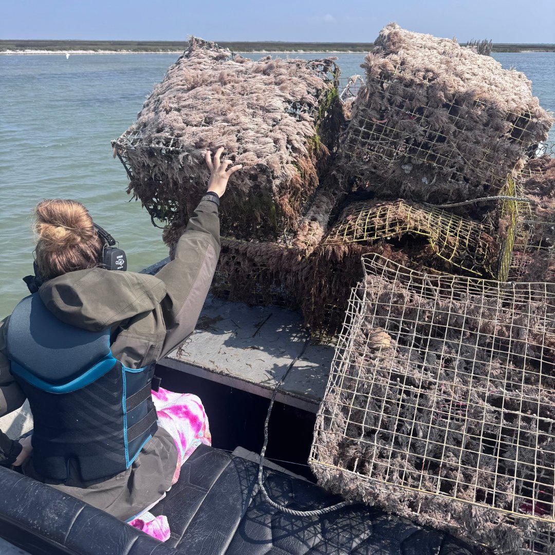 CCA Texas tweet media