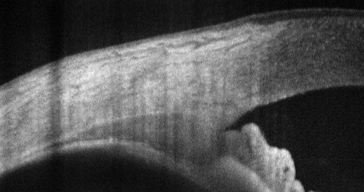 Wasatch Photonics tweet media