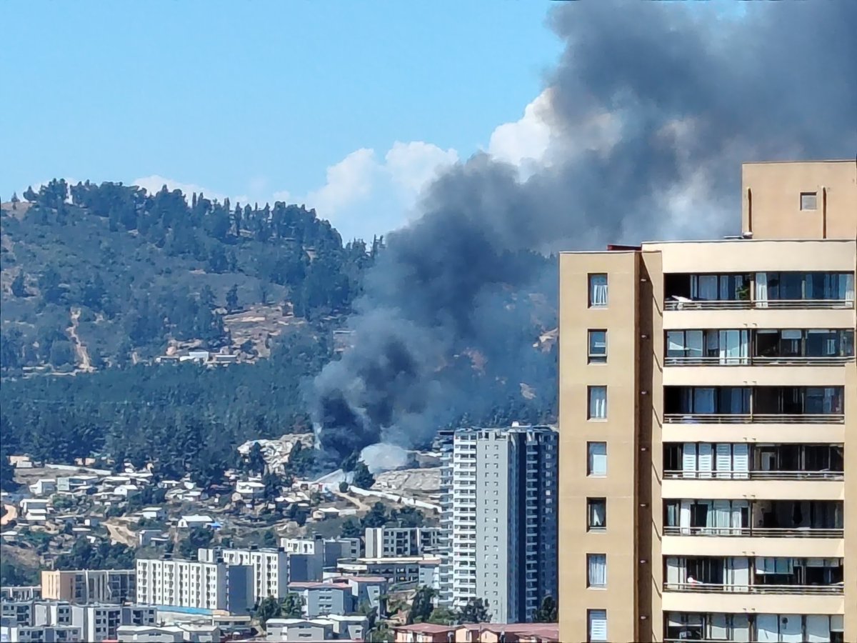 AniMar2013's tweet photo. @AlertaNoticiasV https://t.co/Bs6IUx8liG