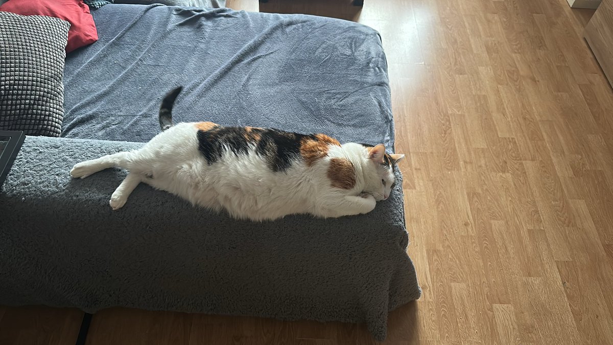 jameeees🦧 tweet media