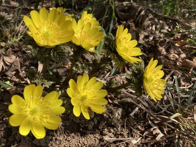 ❤️‍🩹2月26日❤️‍🩹 おはようございます😃 Happy Thursday