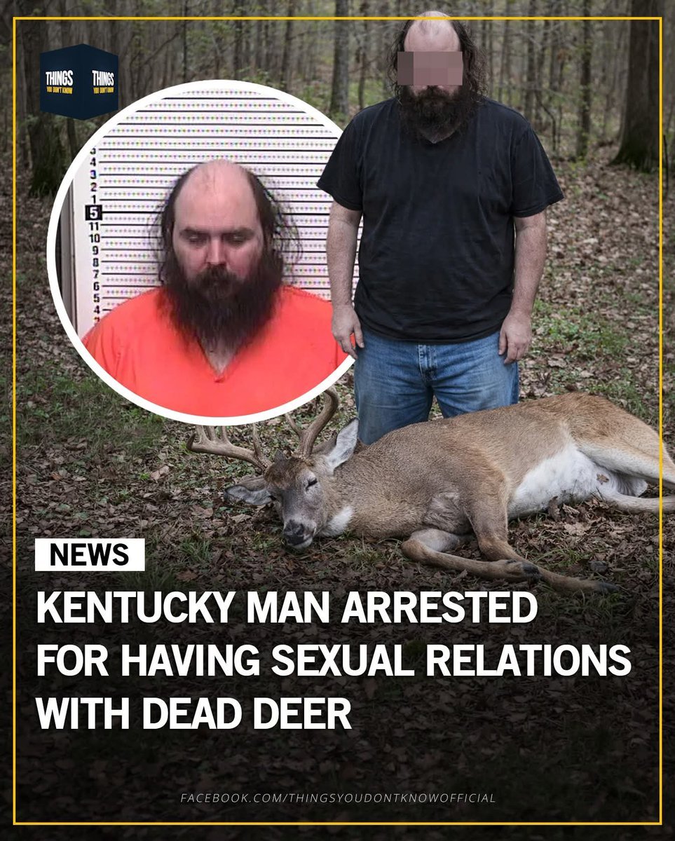 RFK Jr: "Before you judge--"