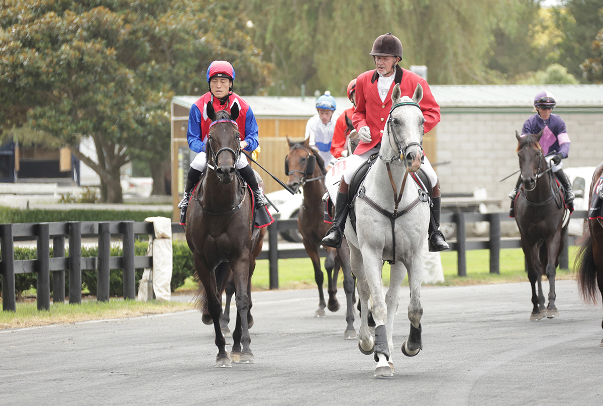 Logan Racing Stables tweet media