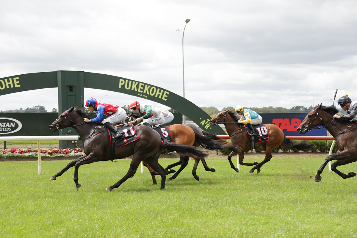 Logan Racing Stables tweet media