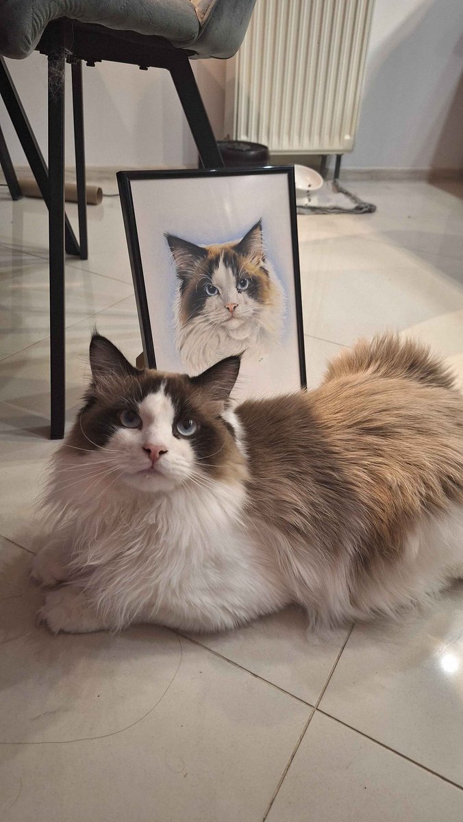 Nene 🏳️‍🌈 tweet media