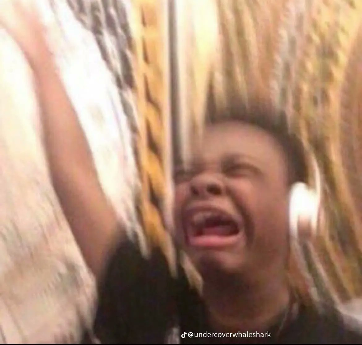 Nessie Sockness monster tweet media