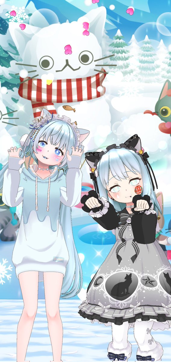 なのちゃん@nanochan_1214 の猫にゃんチェキ会に行ってきました。 綺麗