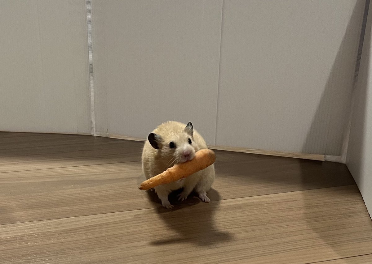 百獣の王 (@daitokaisaitama) on X