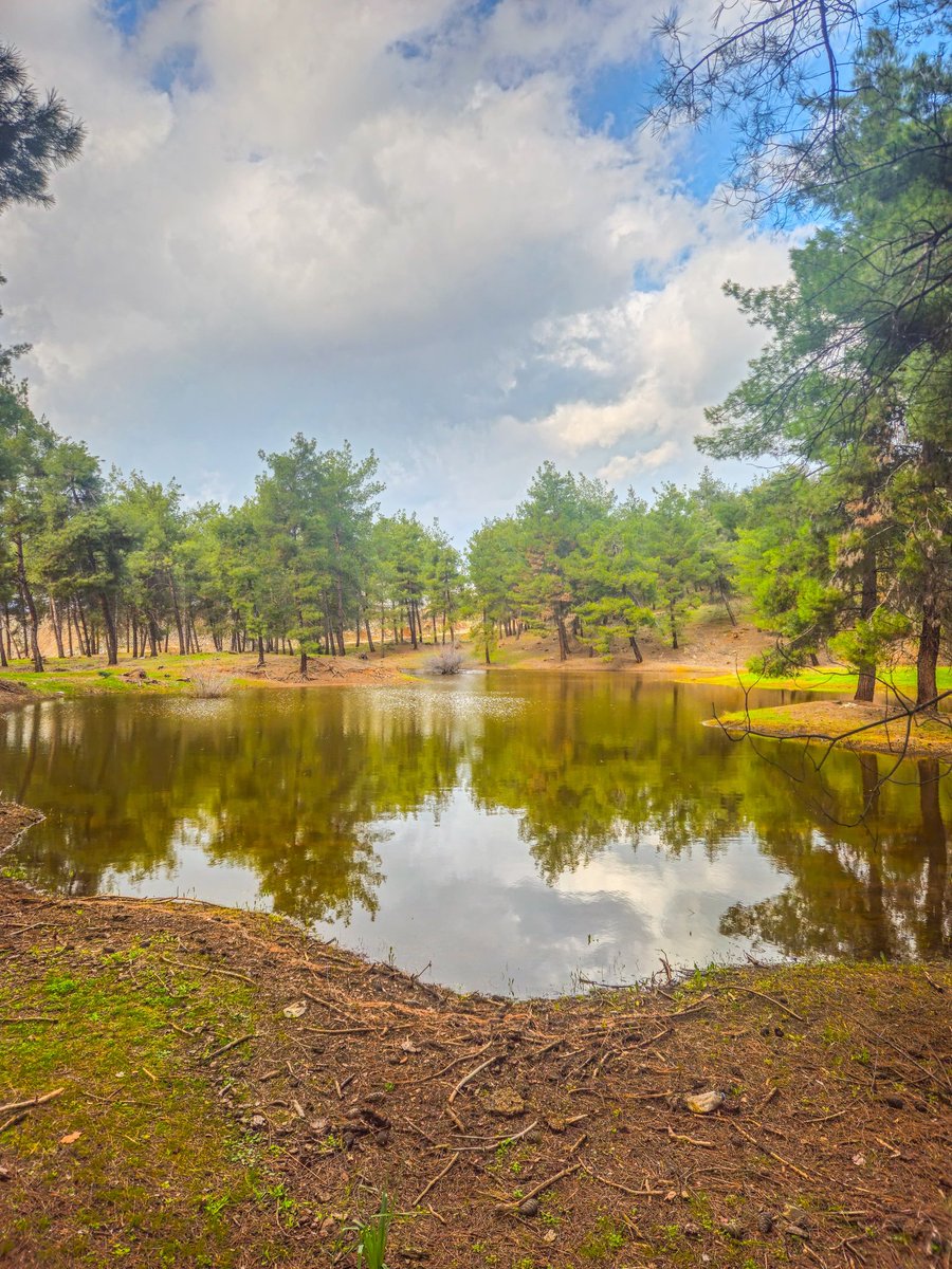 #Galatasaray uzatmalara kaldı ben turu geçegine inanıyorum....
Haydi #cimbom #gs