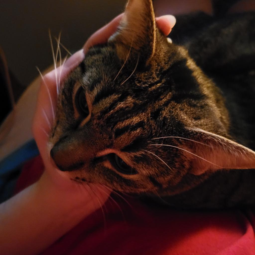 ○°●•🫶🖱📝 tweet media