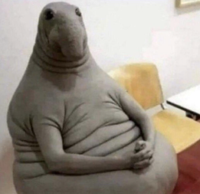 Anna Hirsch tweet media