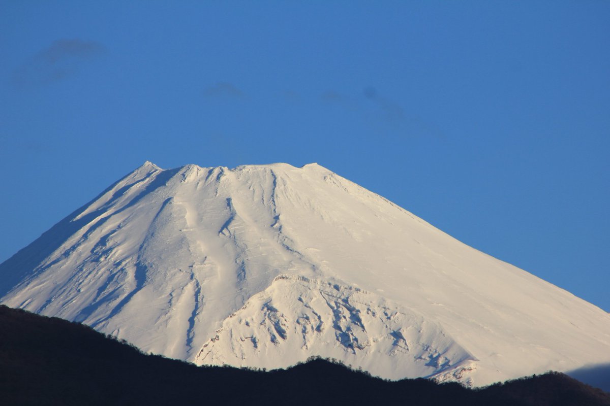 富士半蔵こと橋都彰夫 tweet media