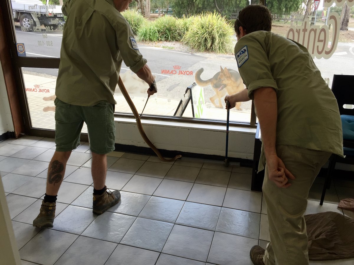 VetGurus tweet media