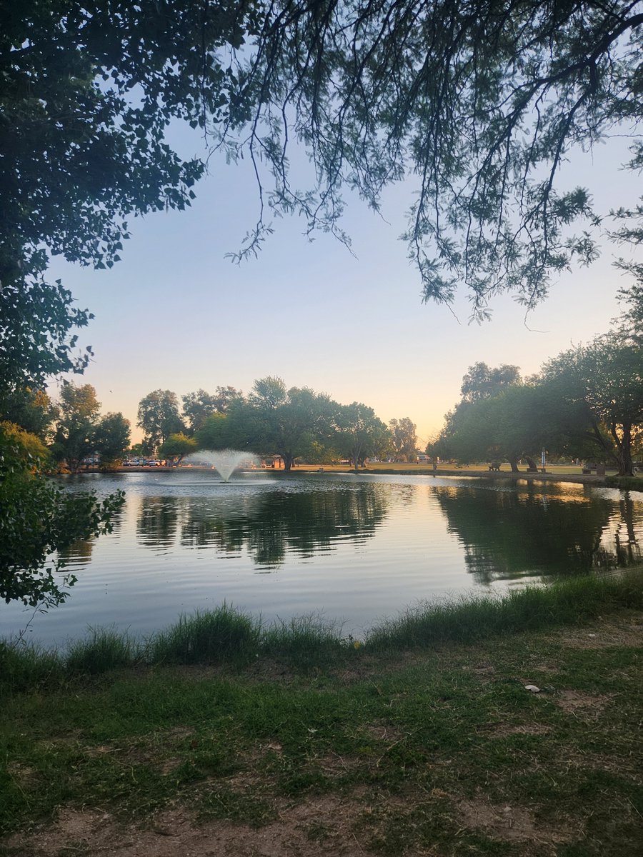 Daily Picture Theme tweet media