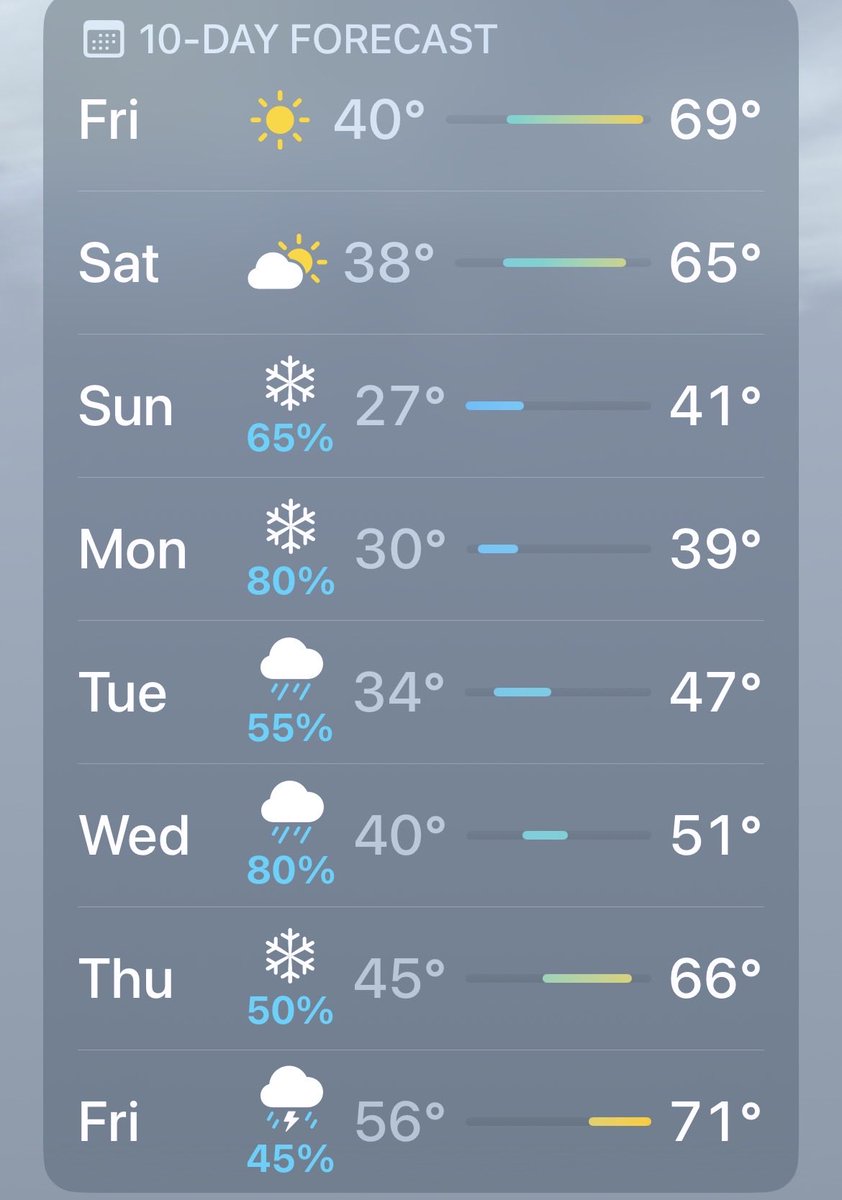 Nick Weber tweet media