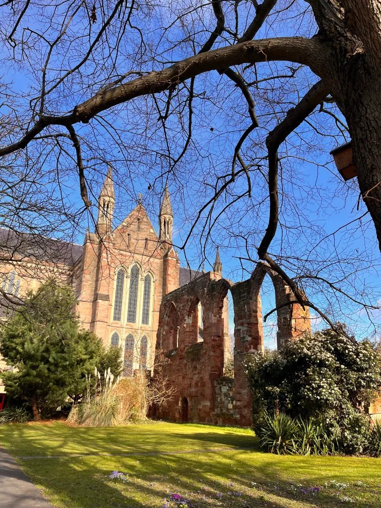 Robbert Leusink tweet media