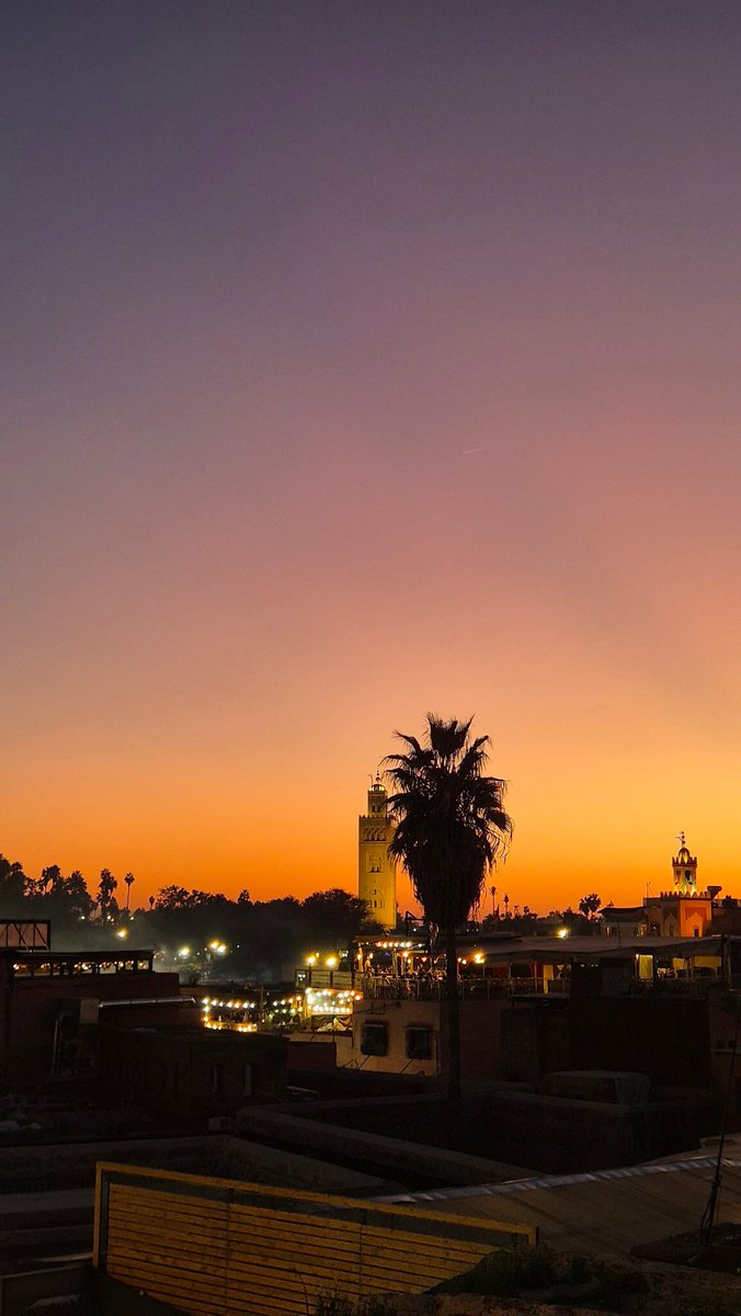putovoas's tweet photo. immersive marrakesh https://t.co/93JXLy85Lx