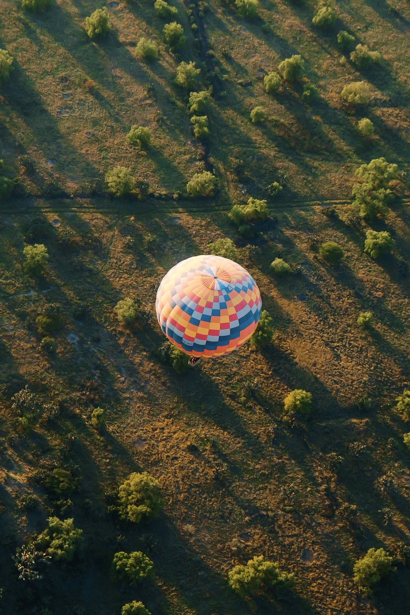 Simon Ribadeneira tweet media