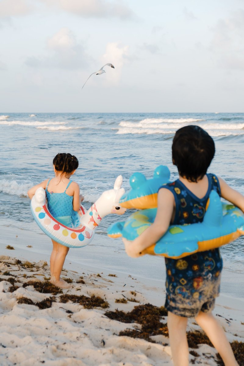 Simon Ribadeneira tweet media