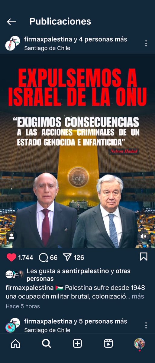 Nelson Hadad tweet media