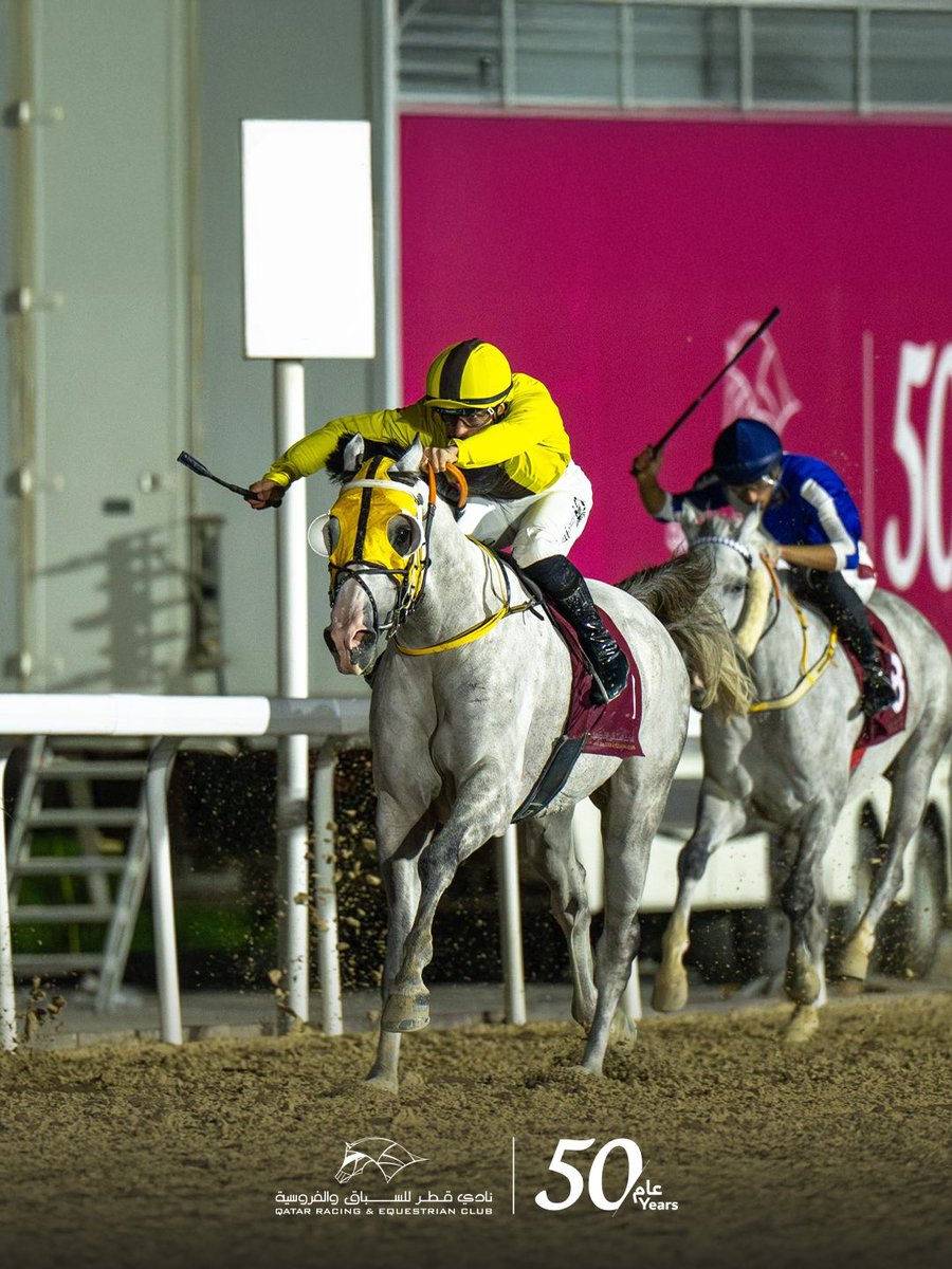 نادي قطر للسباق والفروسية tweet media