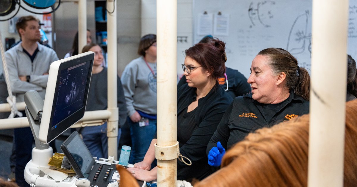 OKStateVetMed tweet media