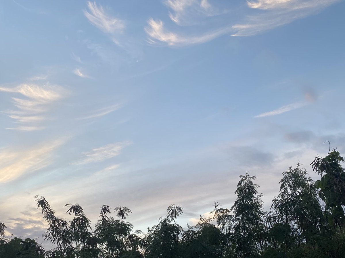 🍞🧈🍯☕️🍼🌤️