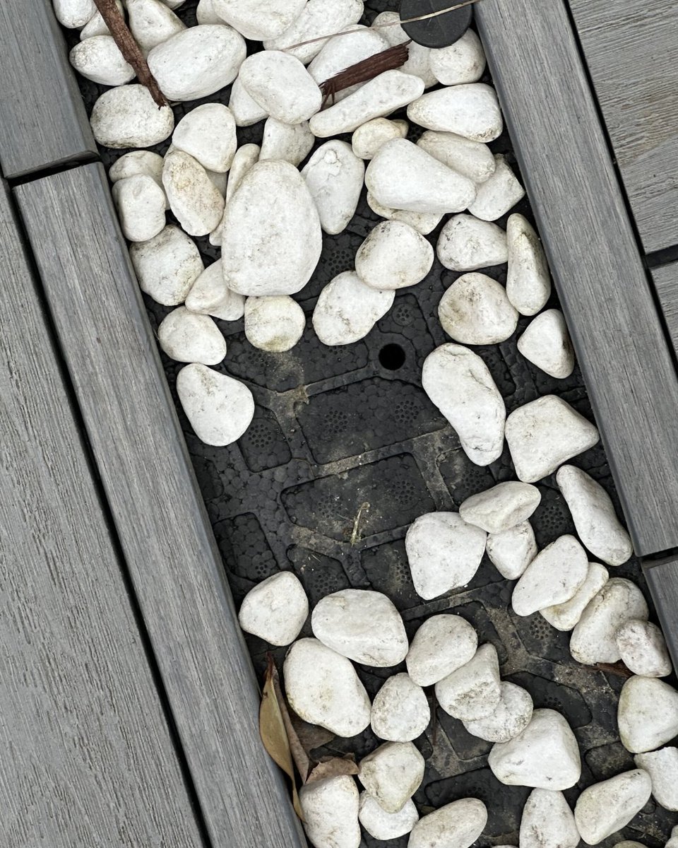 Cindy Selleos tweet media