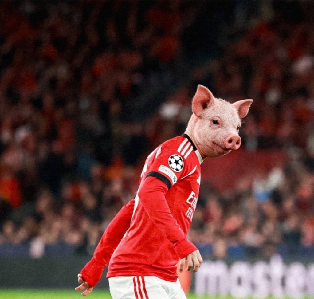 maldecabeca's tweet photo. @SLBenfica https://t.co/qcpQXTevEM