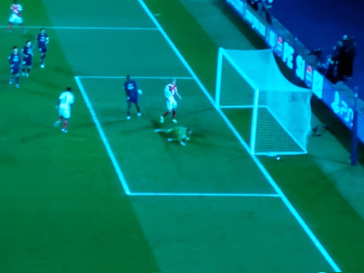 PHILIPPE-GERARD Aurélien tweet media