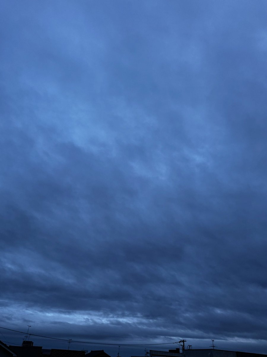 キャサリン (@Xi7ySXjpj2EYGAU) / Posts / X