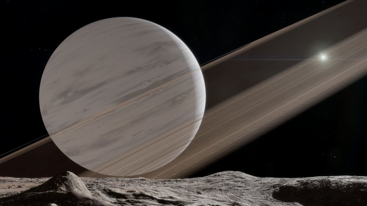 CMDR Siegfried-Origin tweet media