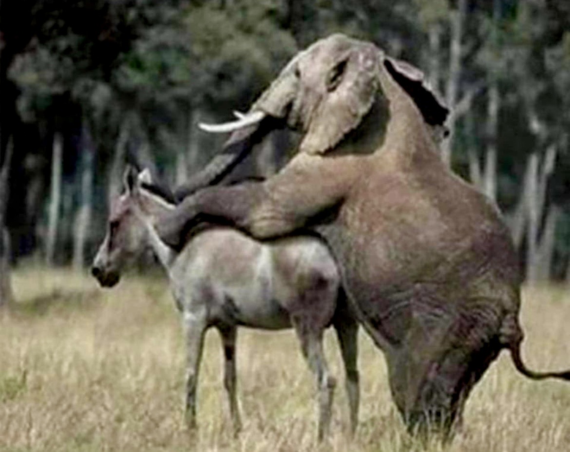 In case you missed the State of the Union Address, here’s a recap.