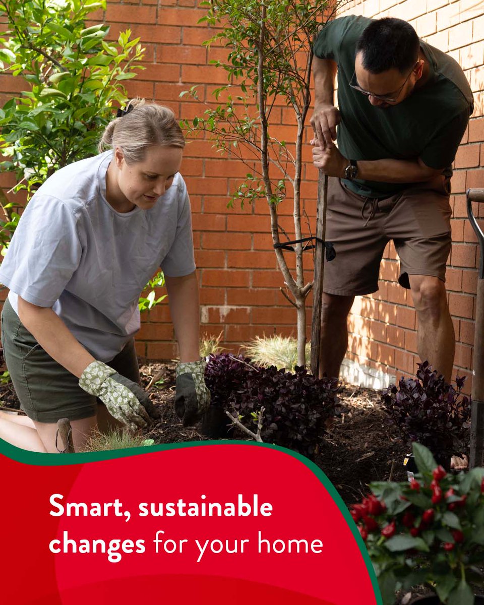 Pepper Money Australia tweet media