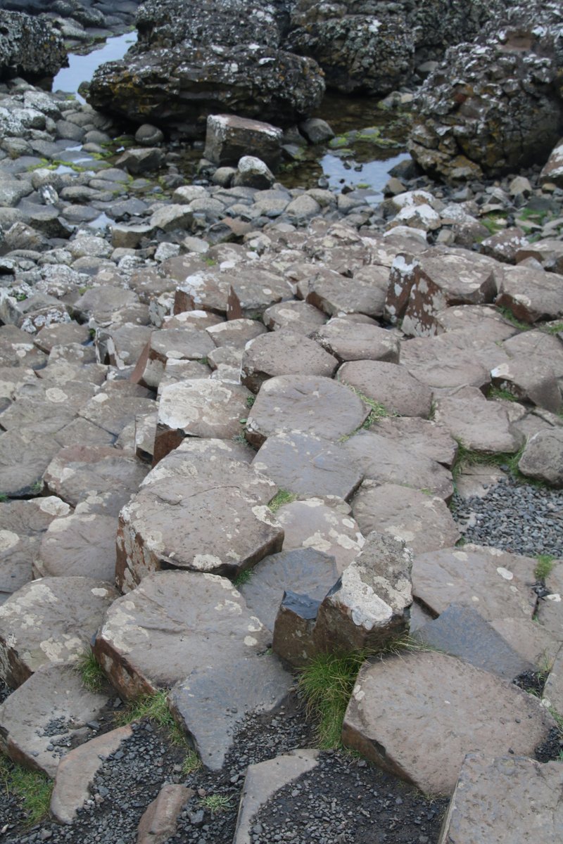 Daily Picture Theme tweet media