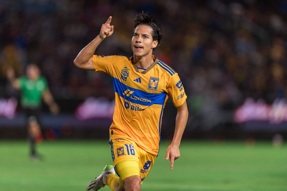 TigresOficial's tweet photo. 𝓔𝓵 𝓓𝓲𝓮𝓰𝓸 𝓭𝓮 𝓛𝓪 𝓤. https://t.co/hRrm7Q4XNS