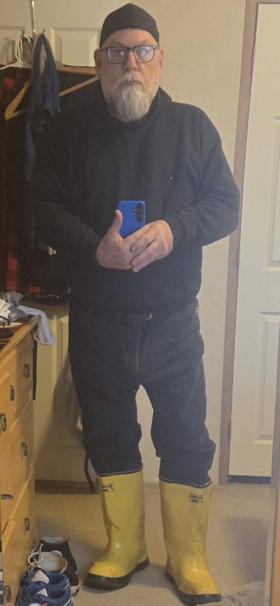 allamericanbear tweet media